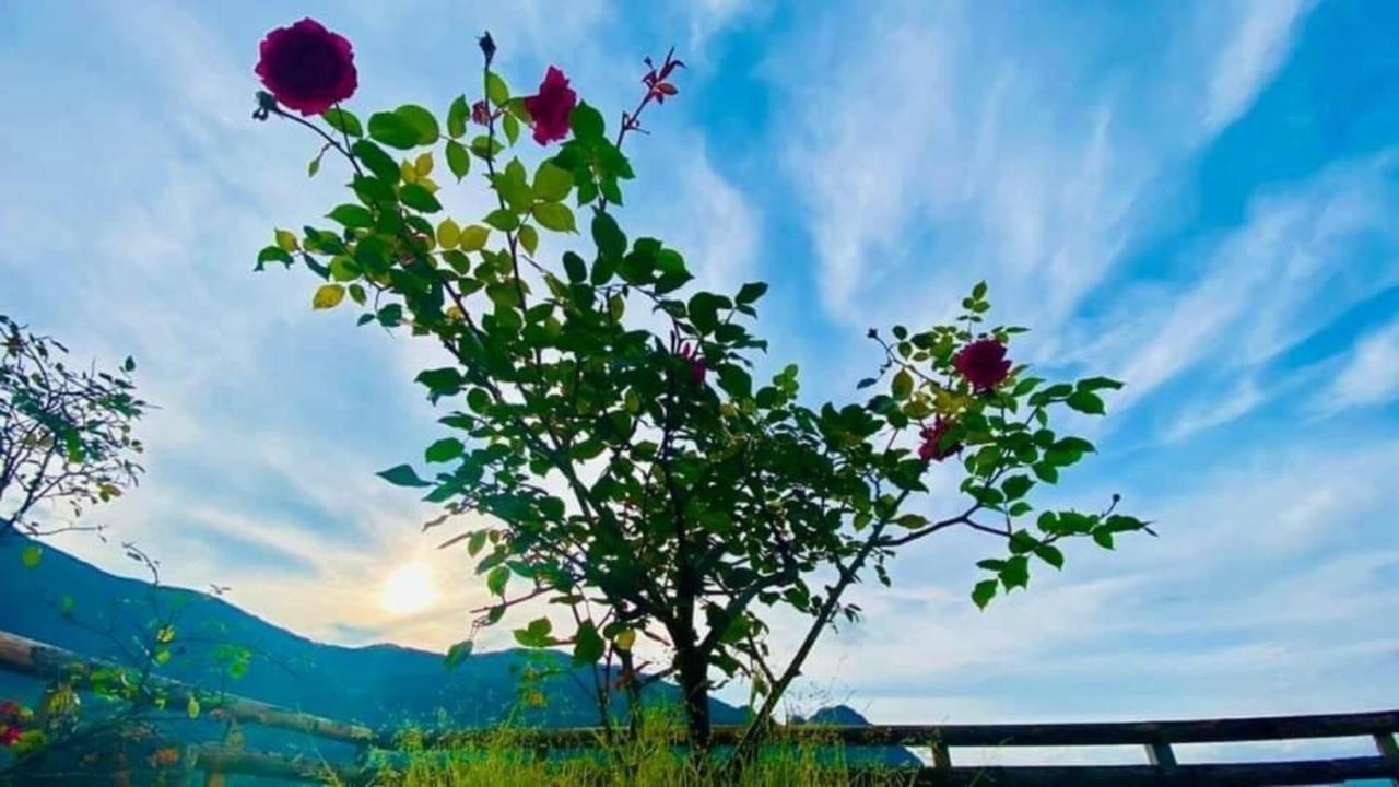 Ha Lu Homestay Lao Cai Luaran gambar